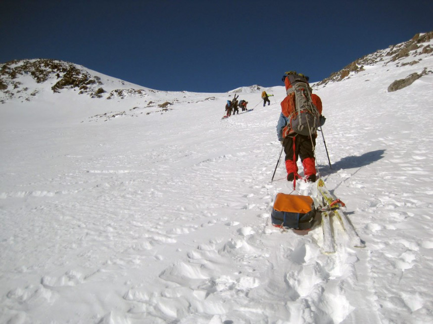 Сани-волокуши Век Саяны 36 л